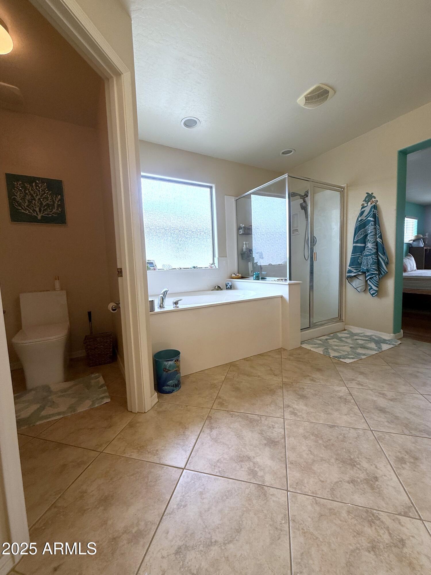 15515 N 174th Avenue Property Photo 22