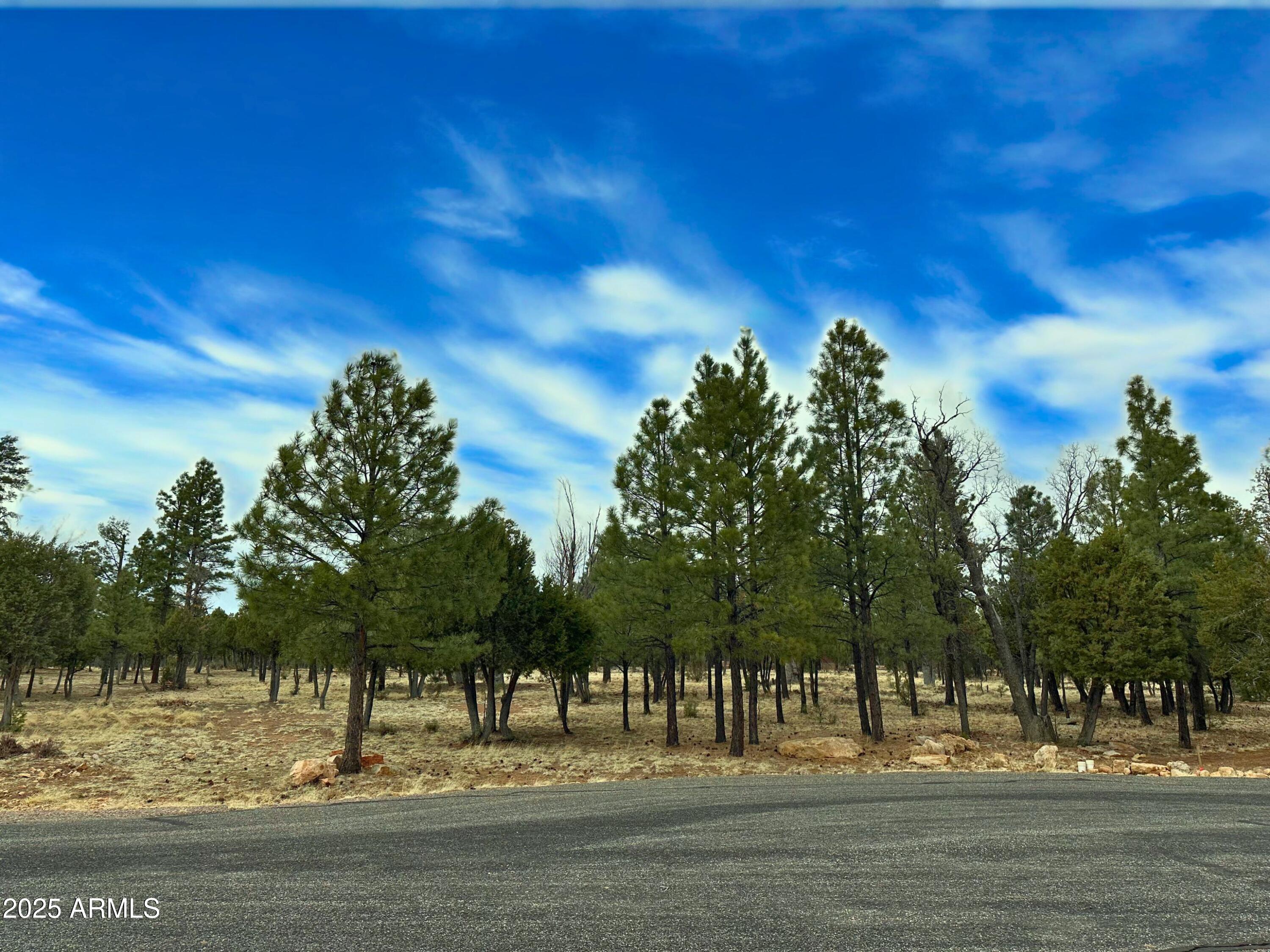 5823 Cripple Creek Property Photo