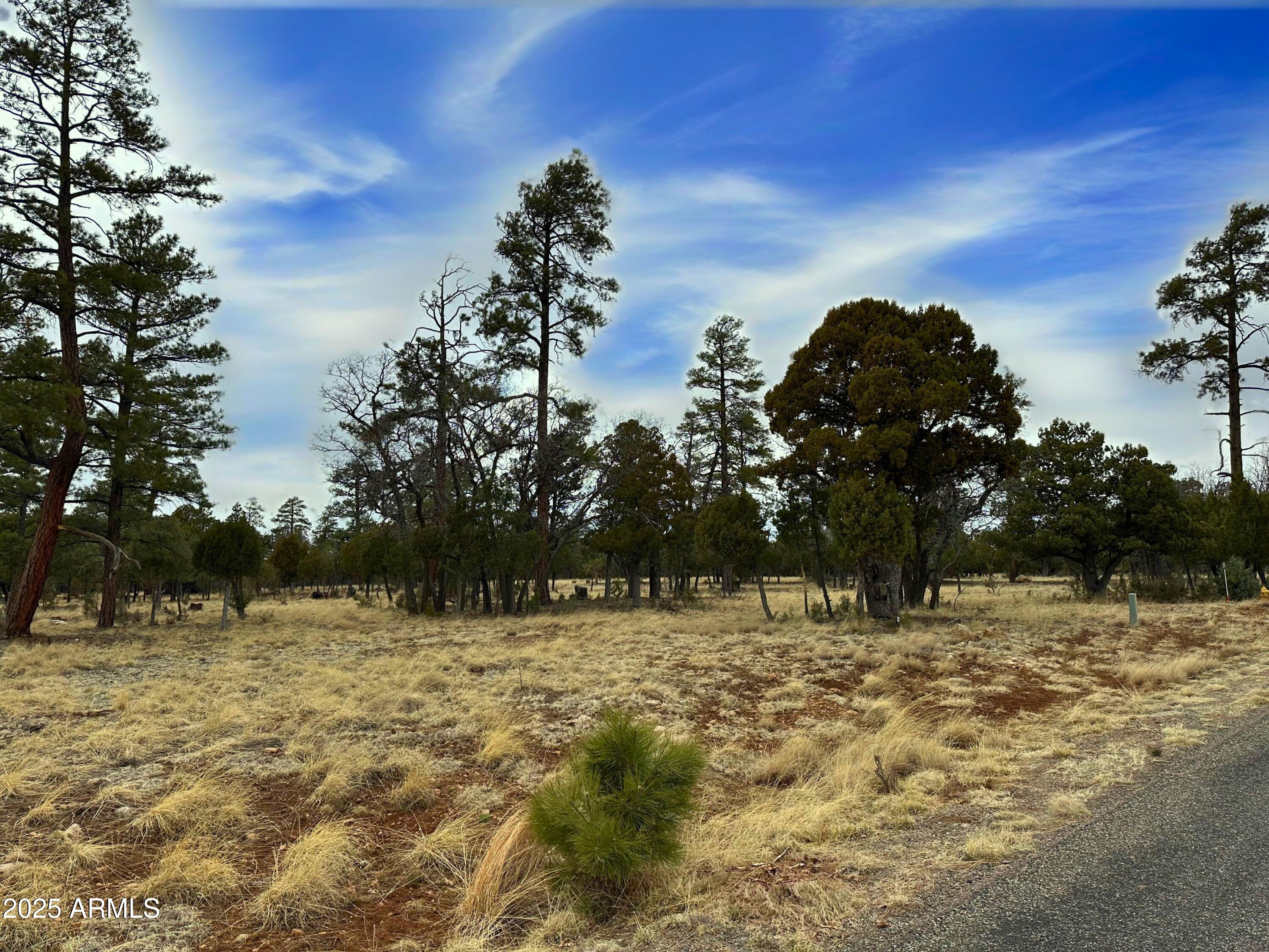 4109 Durango Drive Property Photo