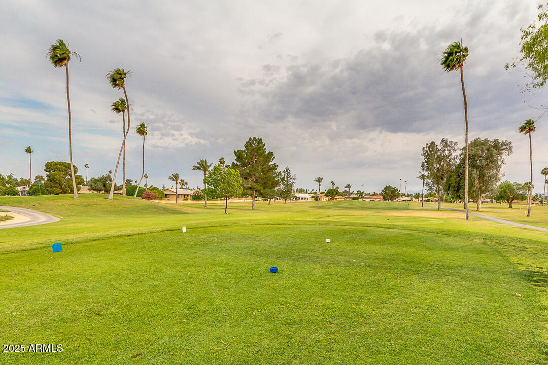 20006 N Palo Verde Drive Property Photo 46