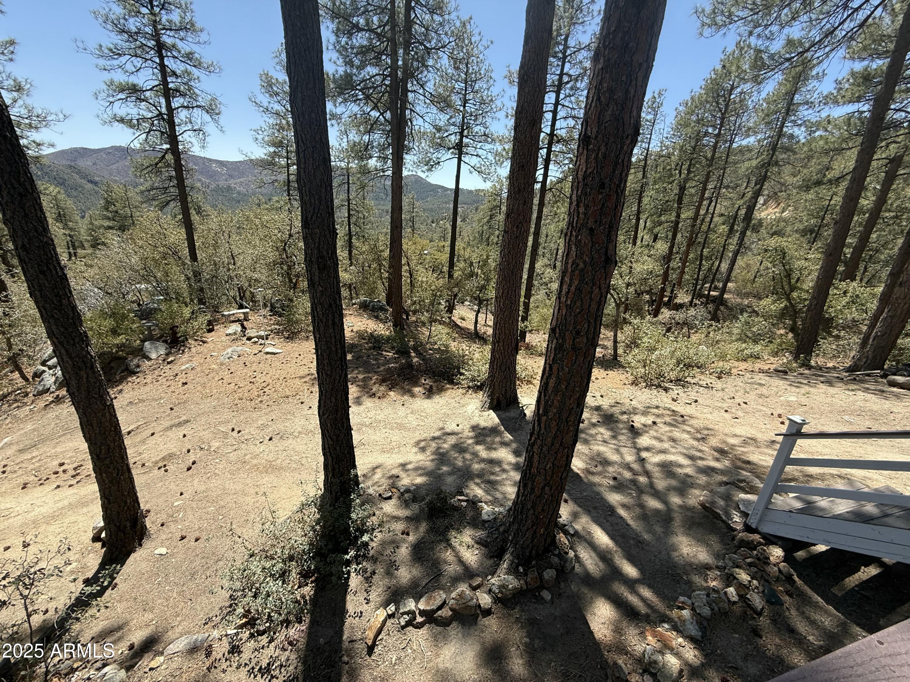 23106 S Towers Mountain Road Property Photo 30