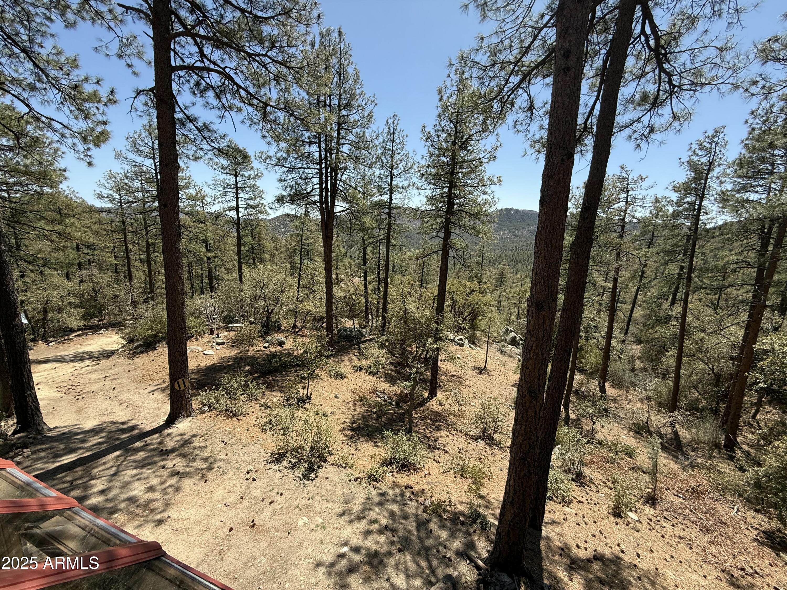 23106 S Towers Mountain Road Property Photo 39