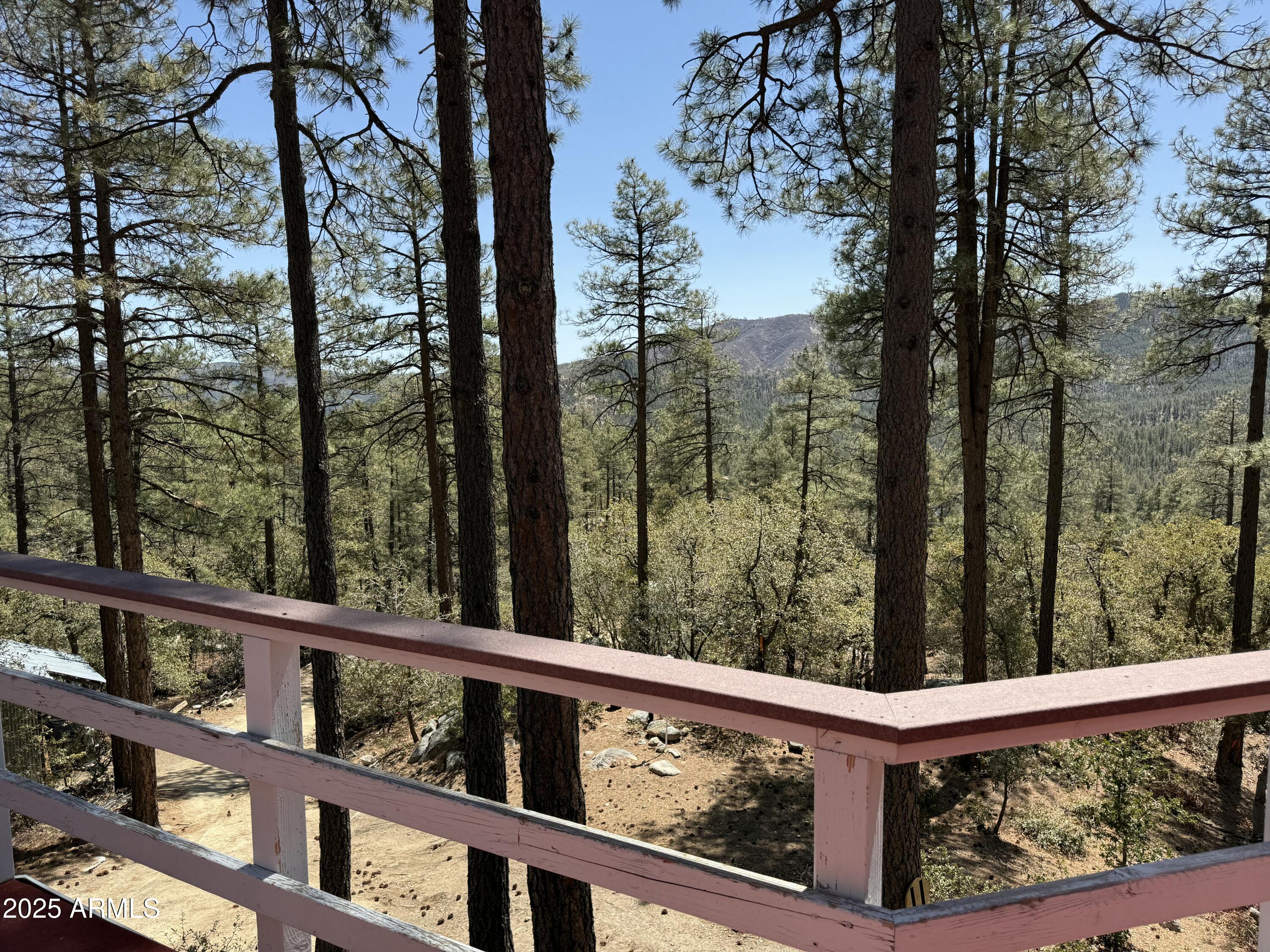 23106 S Towers Mountain Road Property Photo 41
