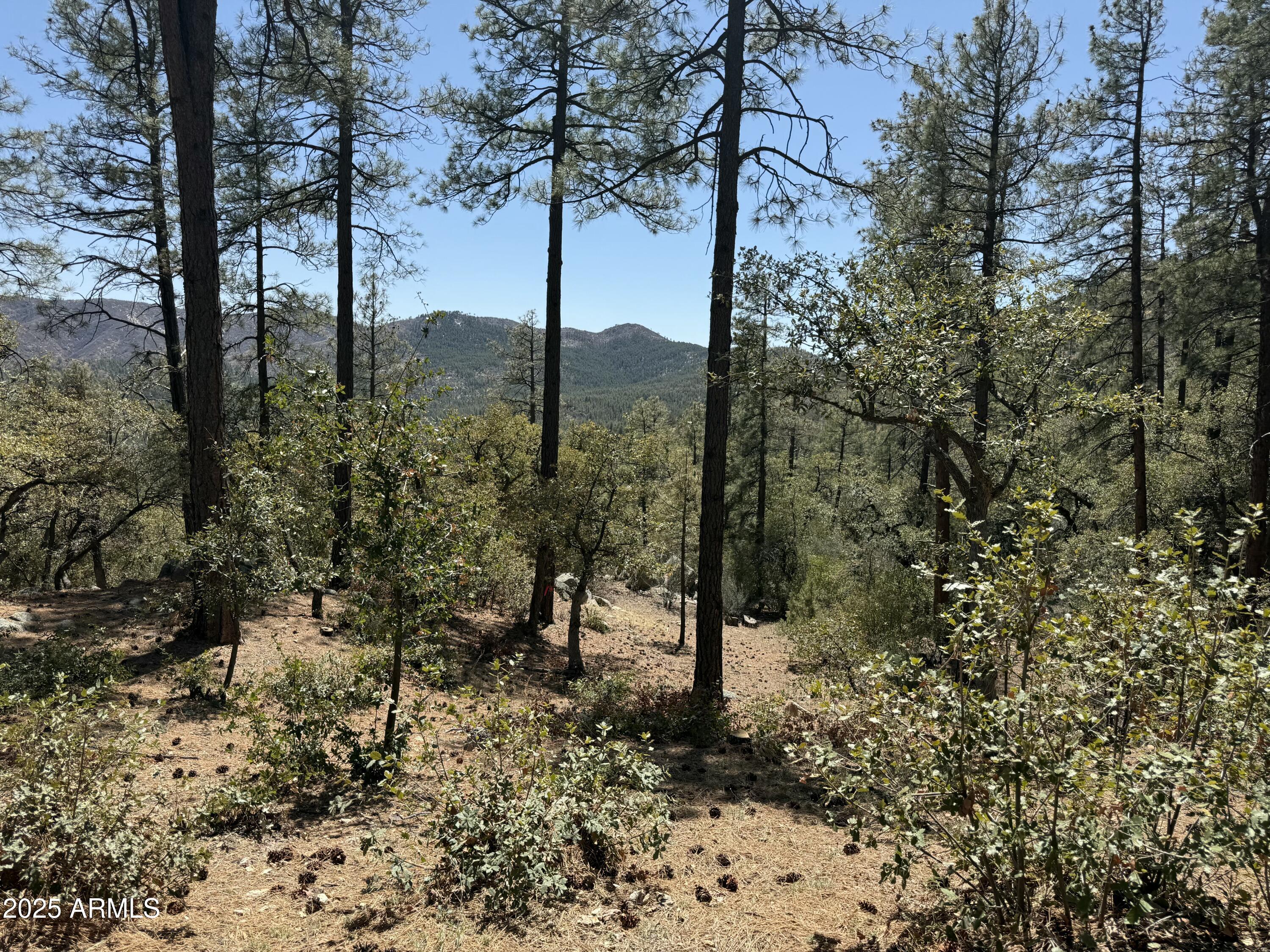 23106 S Towers Mountain Road Property Photo 63