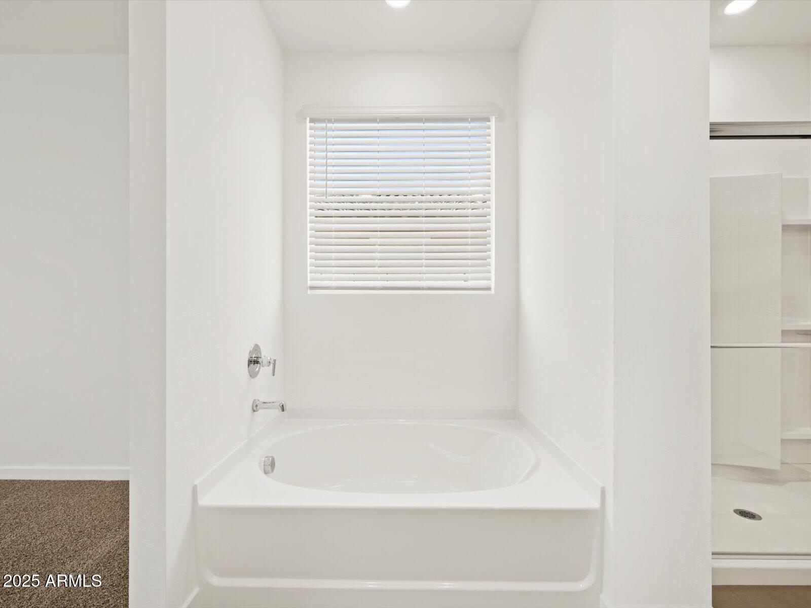 37341 W San Clemente Street Property Photo 18