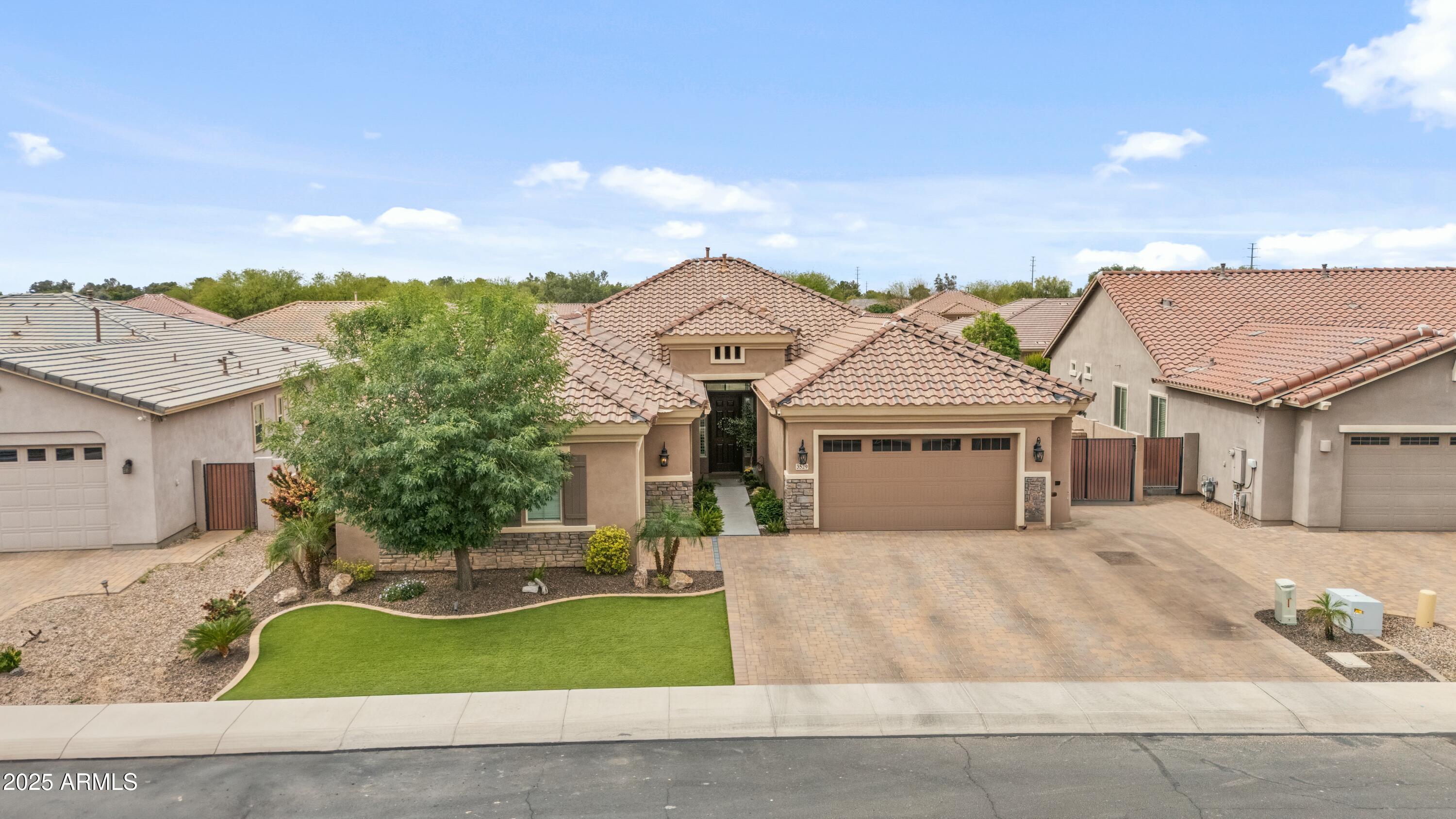 3529 E Desert Broom Drive Property Photo 11