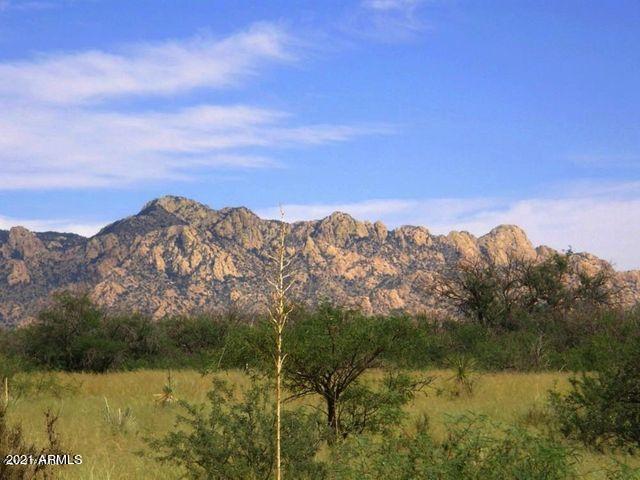 M167 N Fox Hollow Lot 167 Lane Property Photo 1