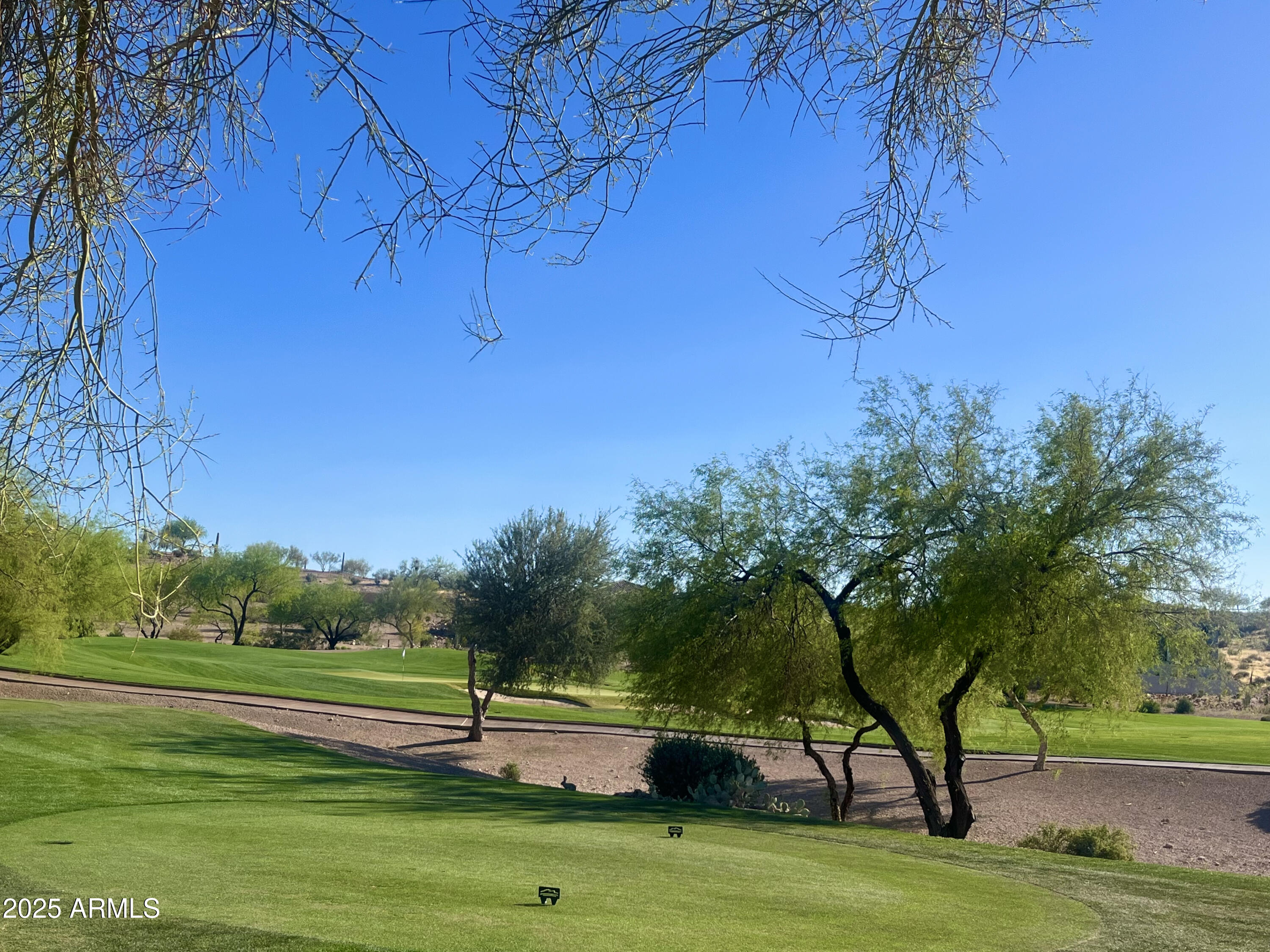 9233 E Superstition Mountain Drive Property Photo 3