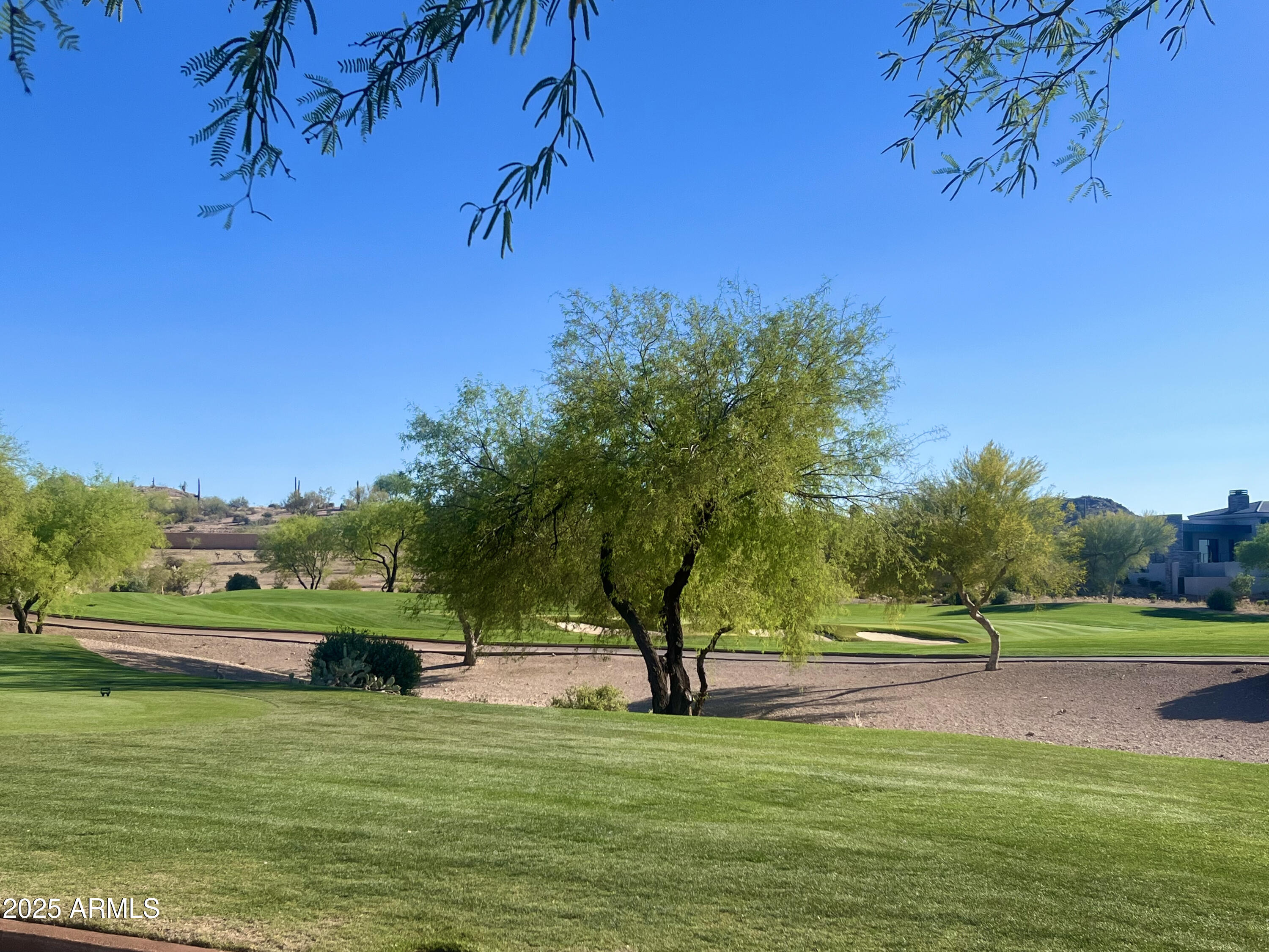 9233 E Superstition Mountain Drive Property Photo 4
