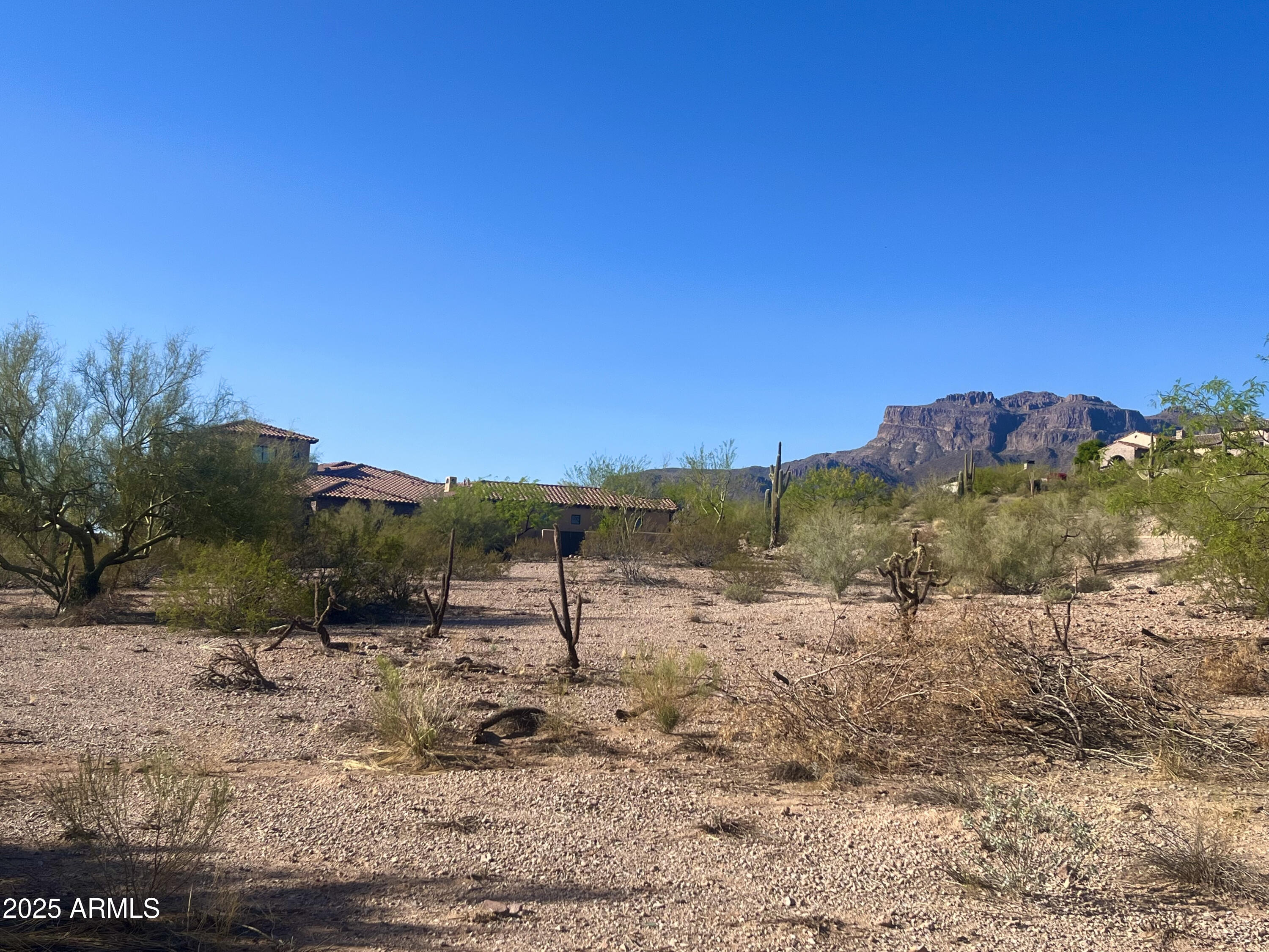 9233 E Superstition Mountain Drive Property Photo 5
