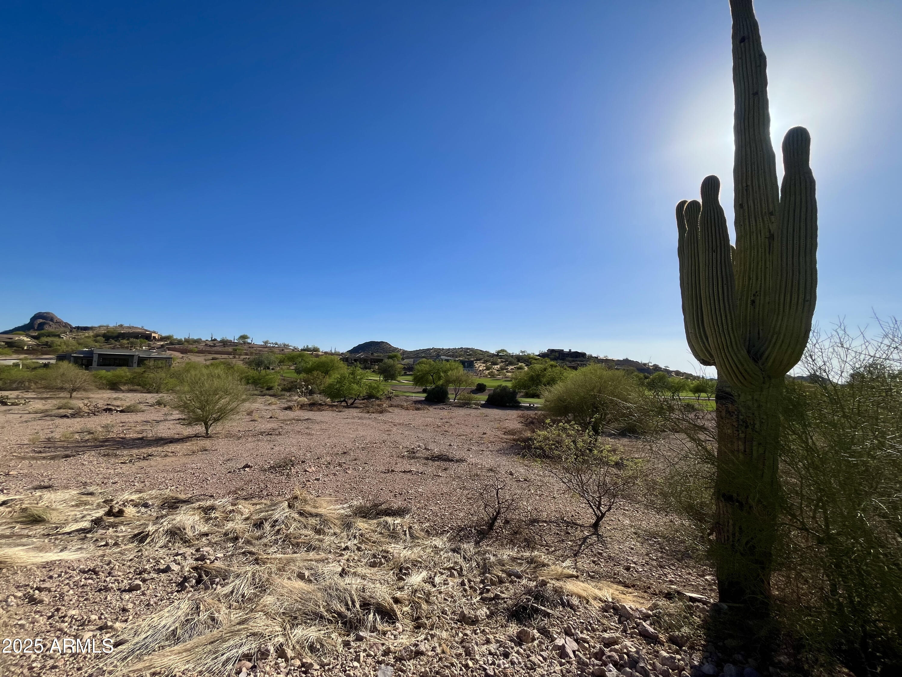 9233 E Superstition Mountain Drive Property Photo 7
