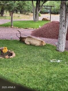4941 Saddle Blanket Circle Property Photo 2