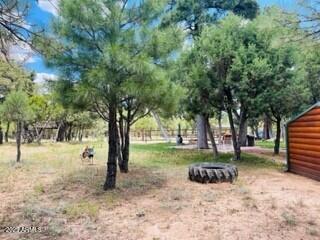4941 Saddle Blanket Circle Property Photo 4