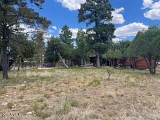 4941 Saddle Blanket Circle Property Photo 28