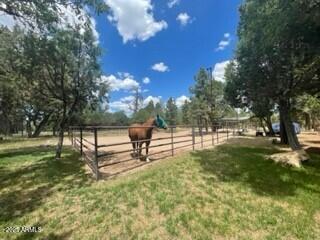 4941 Saddle Blanket Circle Property Photo 29