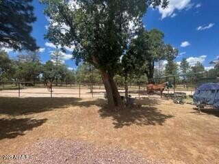 4941 Saddle Blanket Circle Property Photo 30