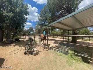4941 Saddle Blanket Circle Property Photo 32