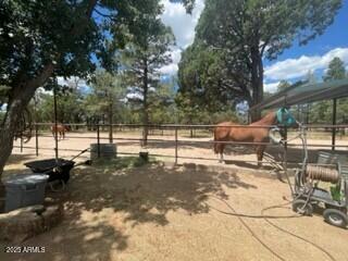 4941 Saddle Blanket Circle Property Photo 33