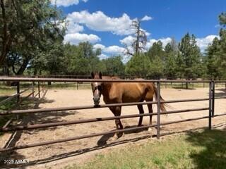4941 Saddle Blanket Circle Property Photo 36