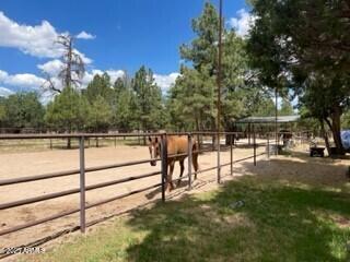 4941 Saddle Blanket Circle Property Photo 38