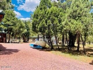 4941 Saddle Blanket Circle Property Photo 55