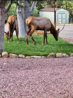 4941 Saddle Blanket Circle Property Photo 58