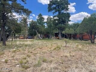 4941 Saddle Blanket Circle Property Photo 60