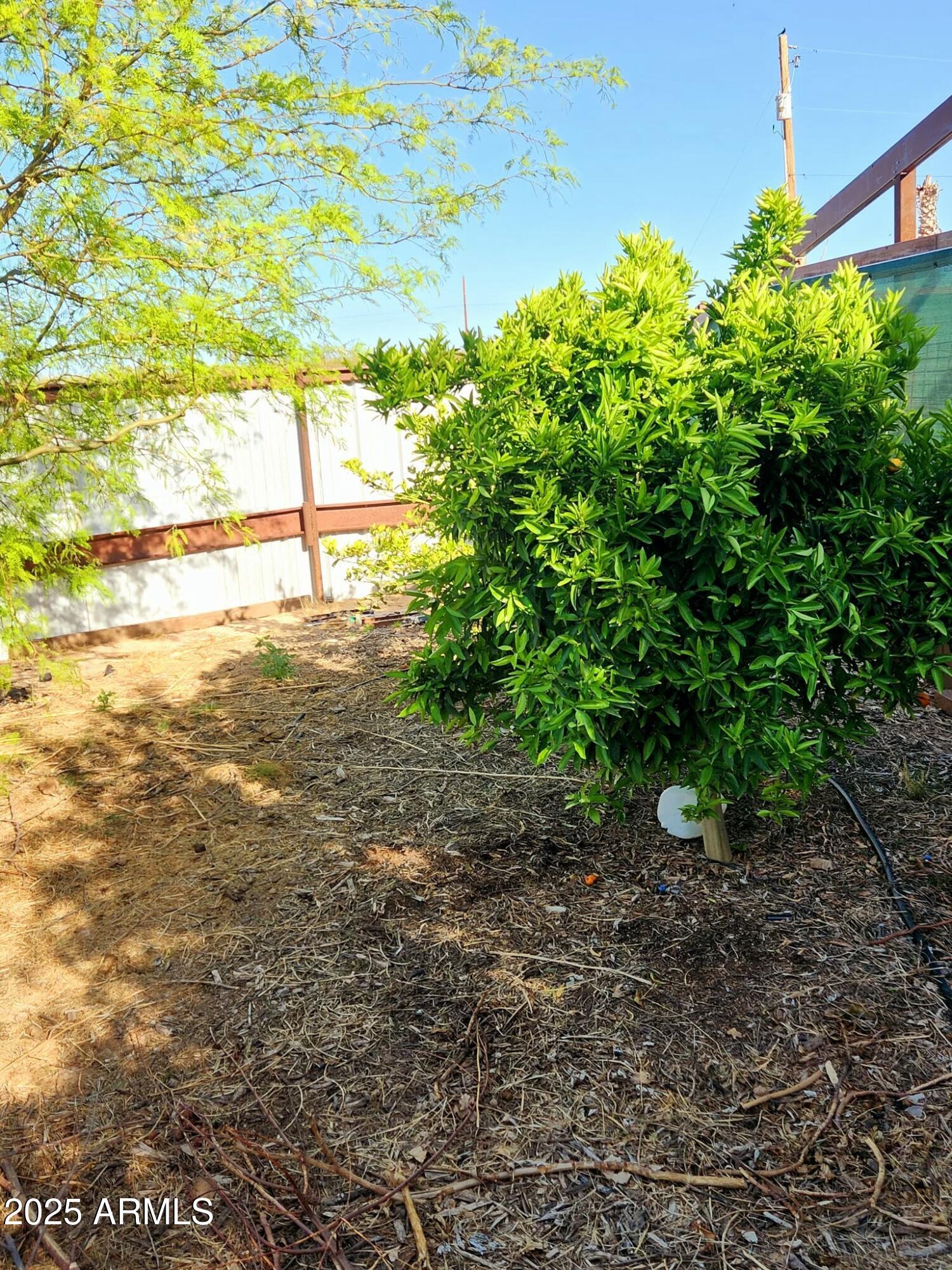 11862 N Faith Lane Property Photo 10
