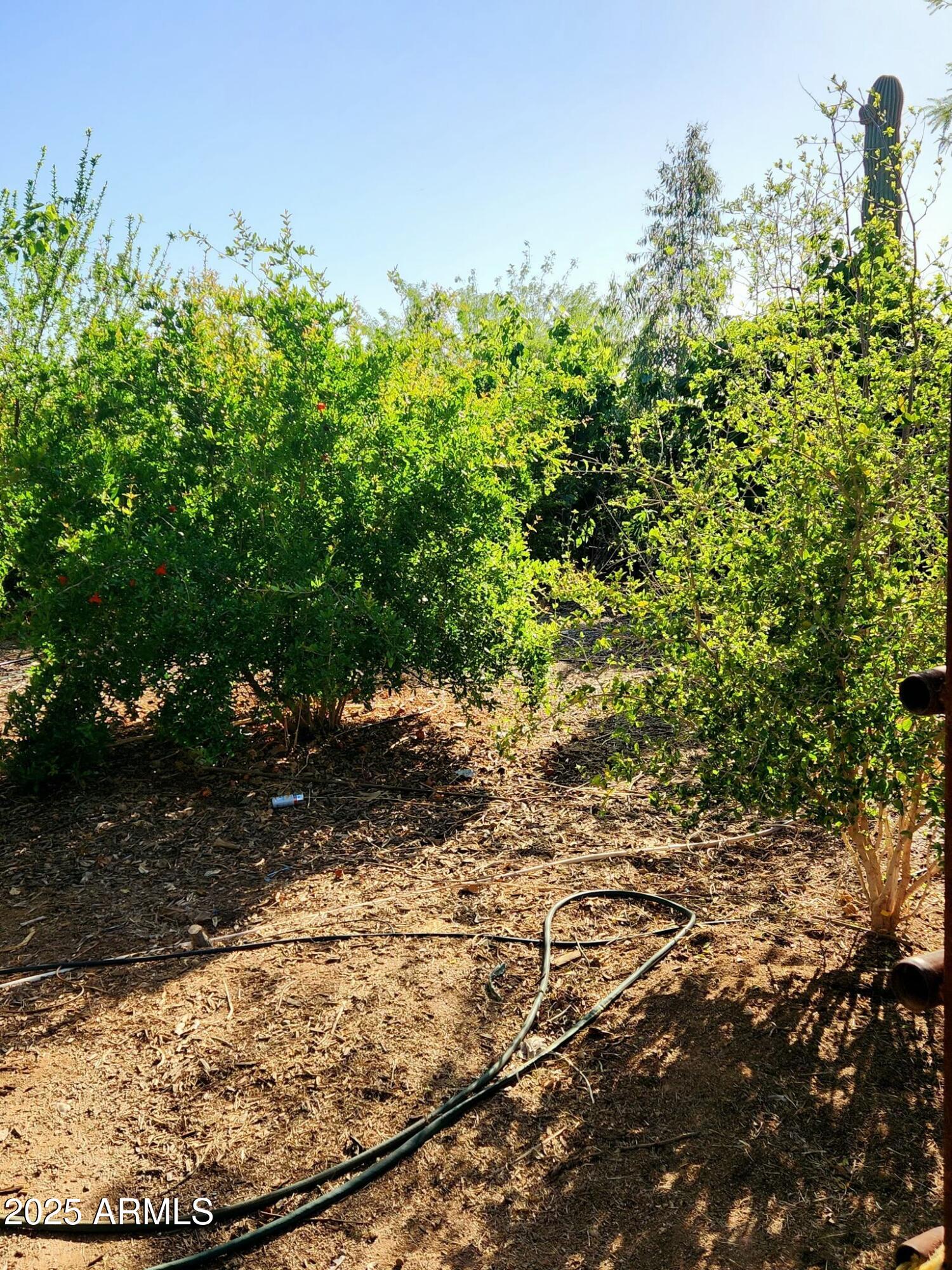 11862 N Faith Lane Property Photo 16