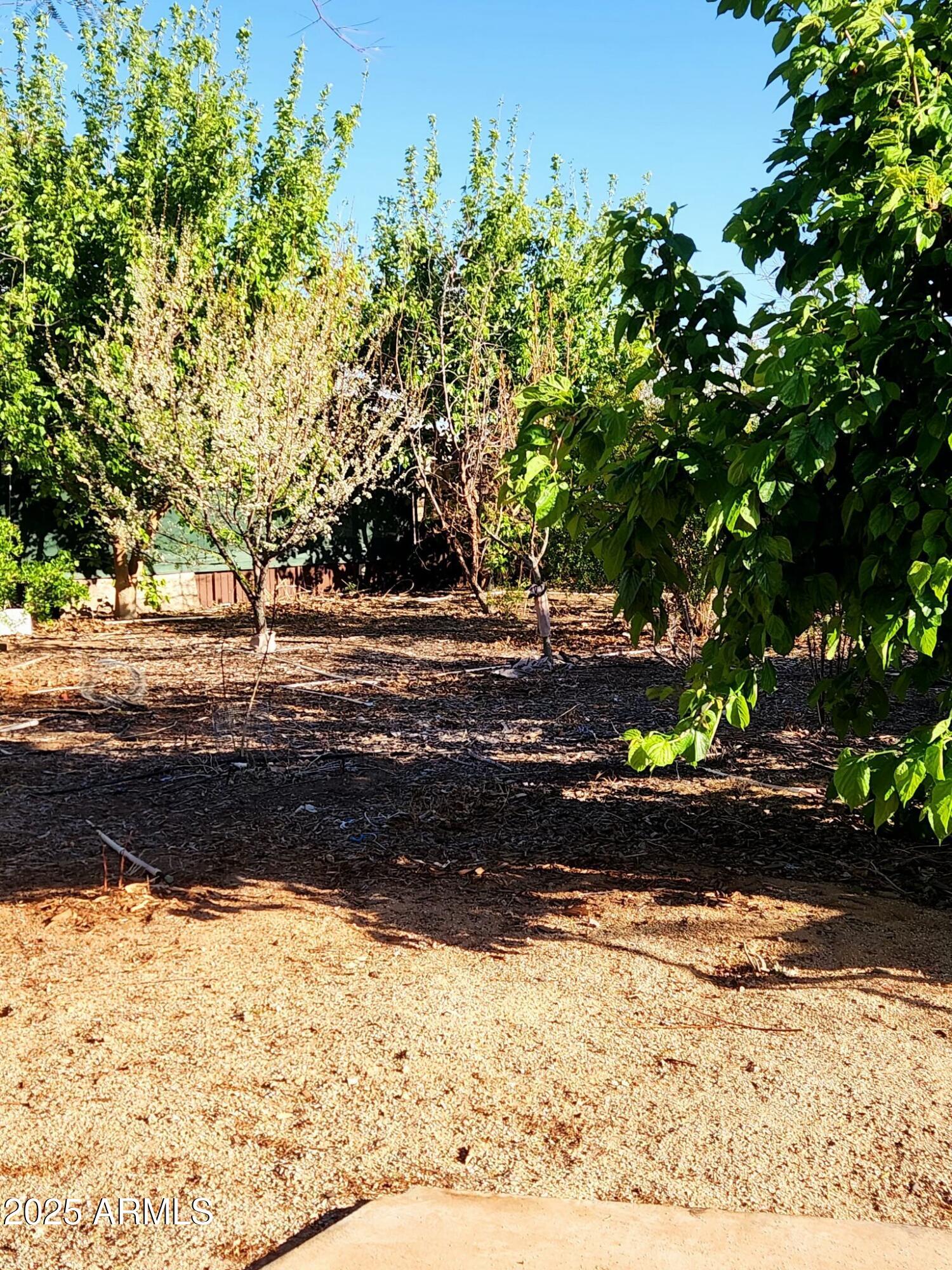 11862 N Faith Lane Property Photo 18