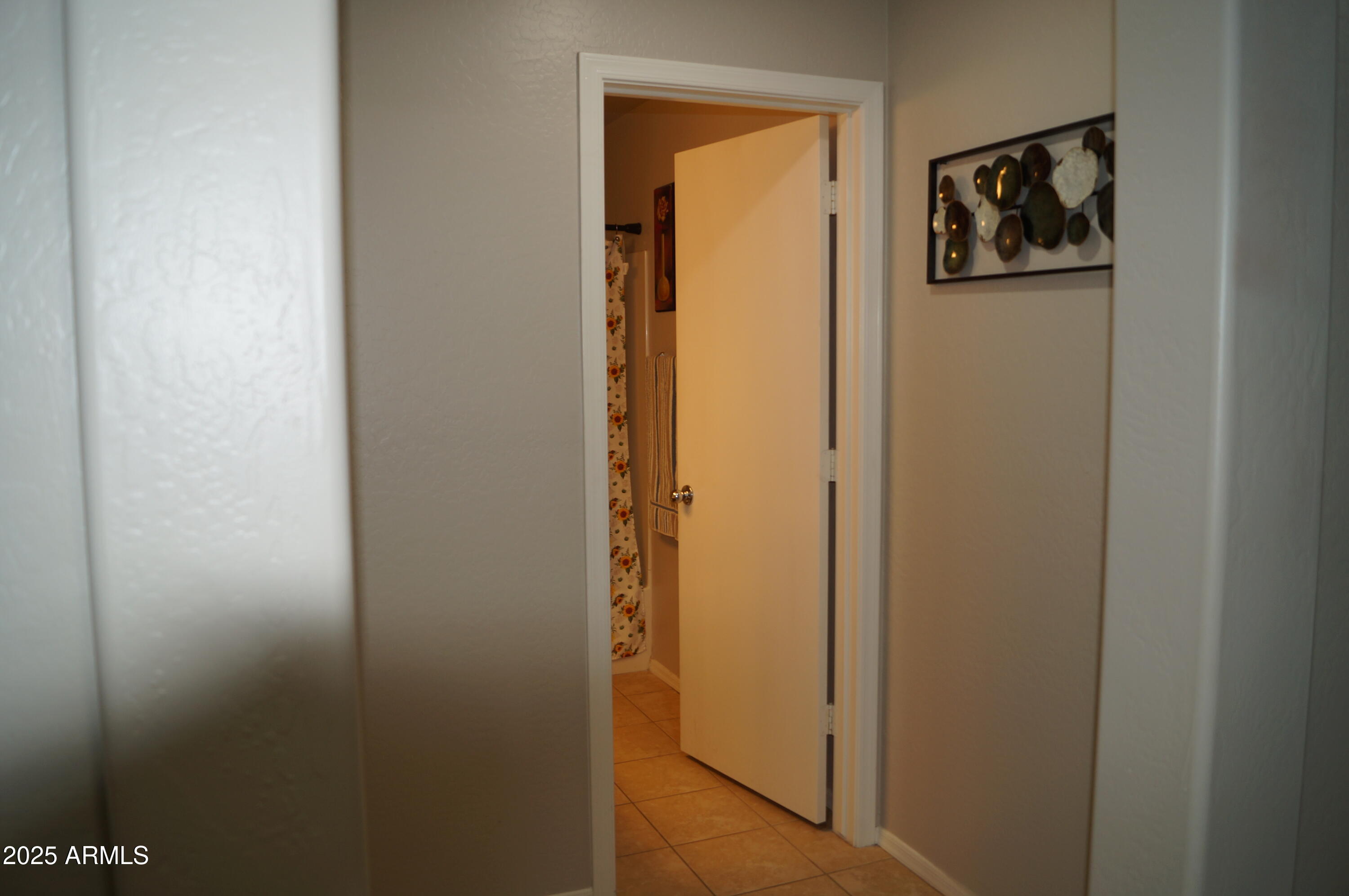 25671 W Shooting Star Lane Property Photo 7