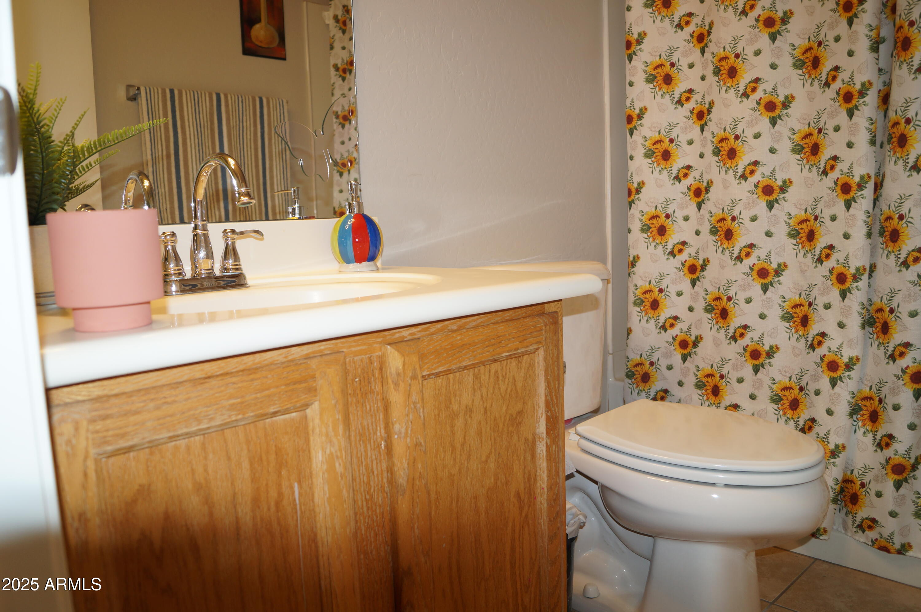 25671 W Shooting Star Lane Property Photo 8