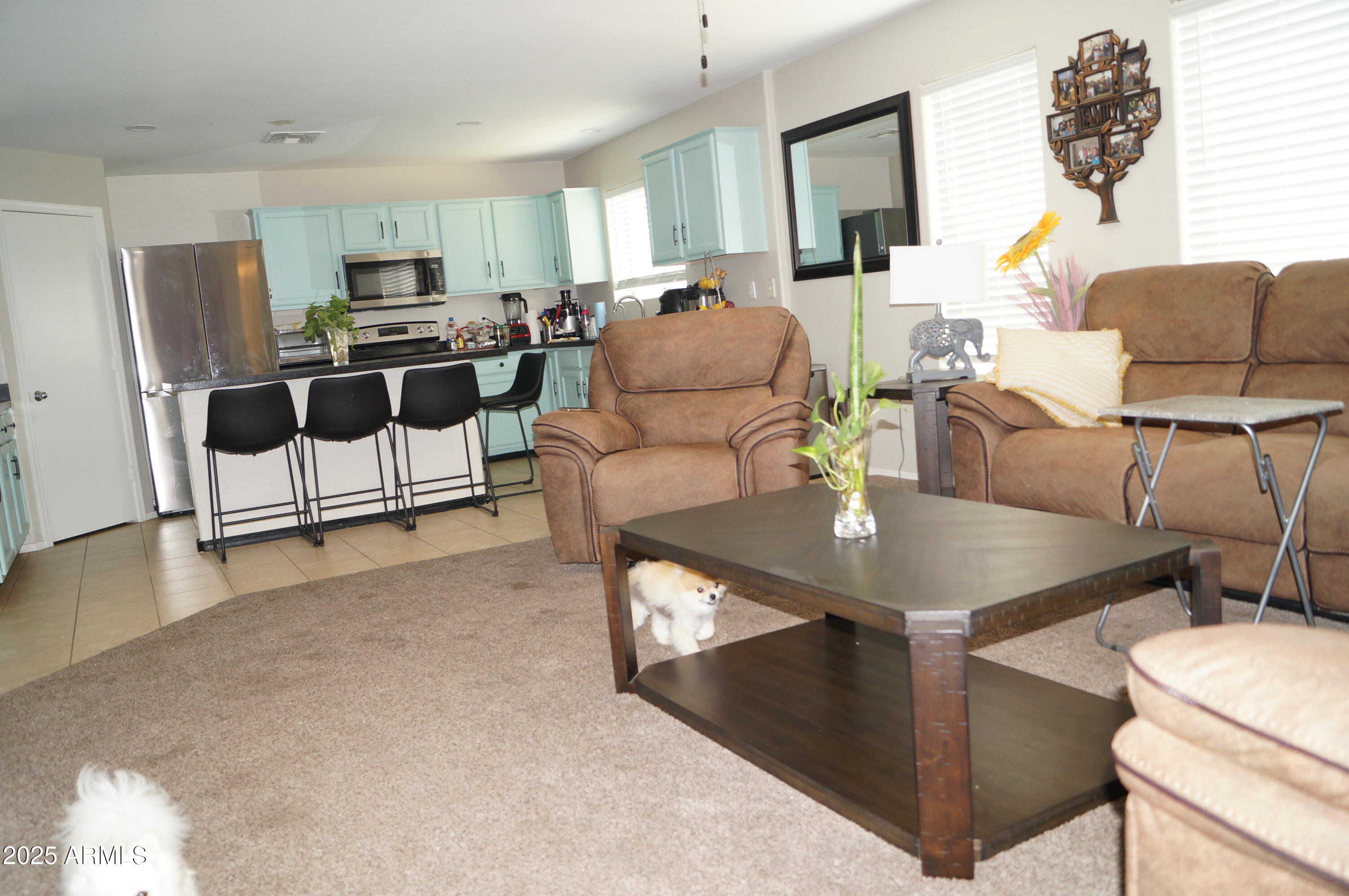 25671 W Shooting Star Lane Property Photo 19