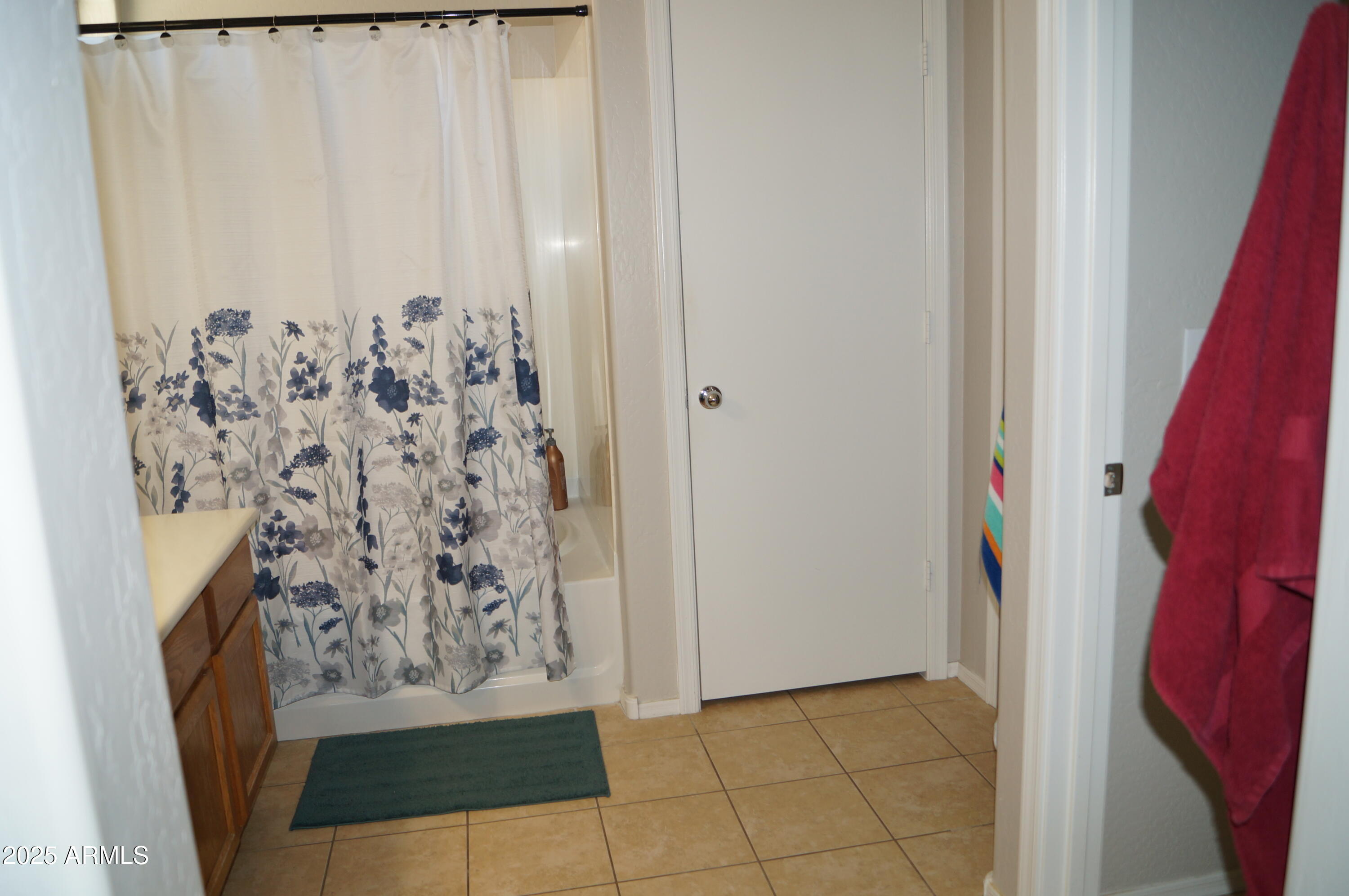 25671 W Shooting Star Lane Property Photo 26