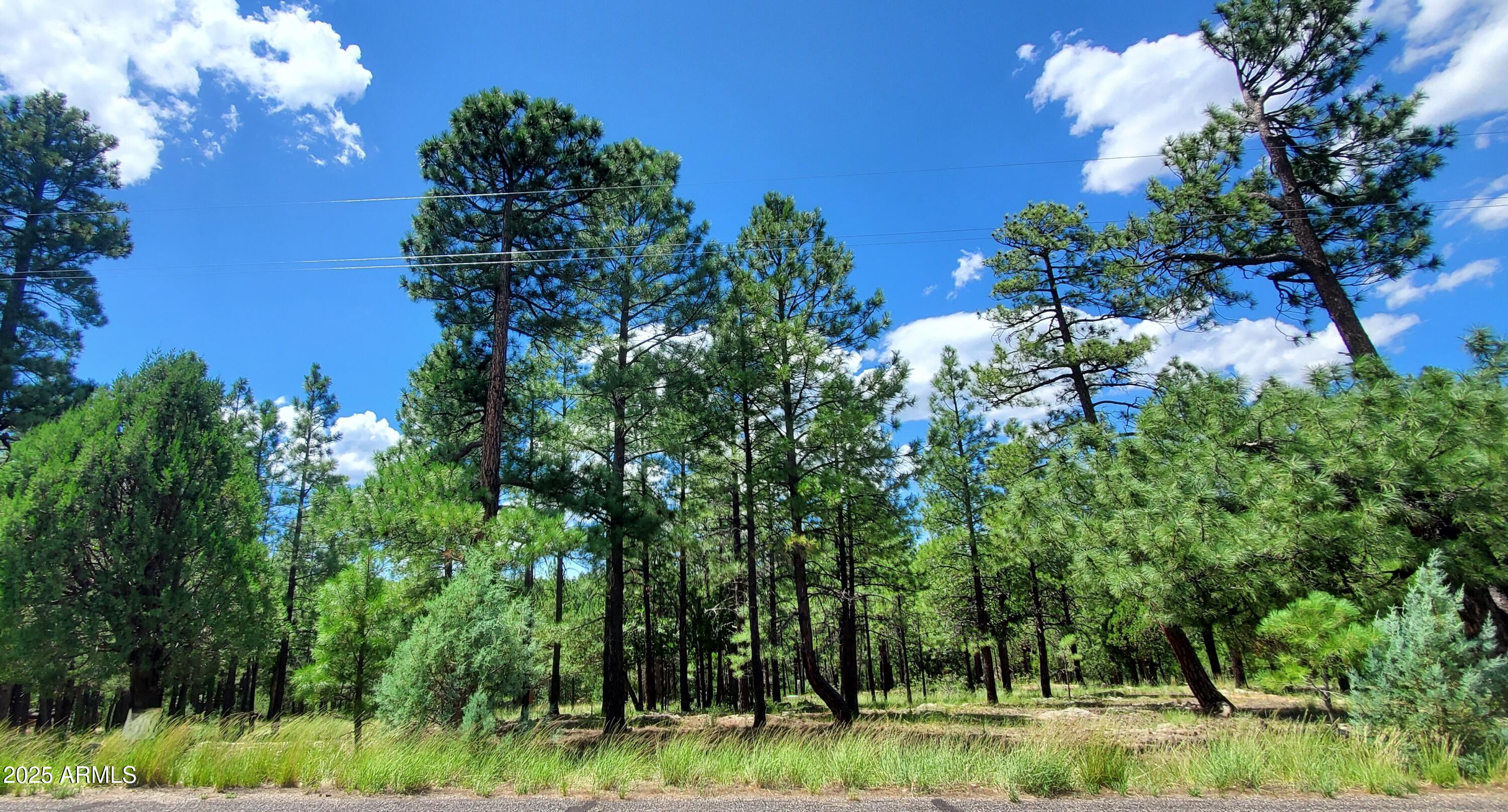 2526 Well Water Road Property Photo