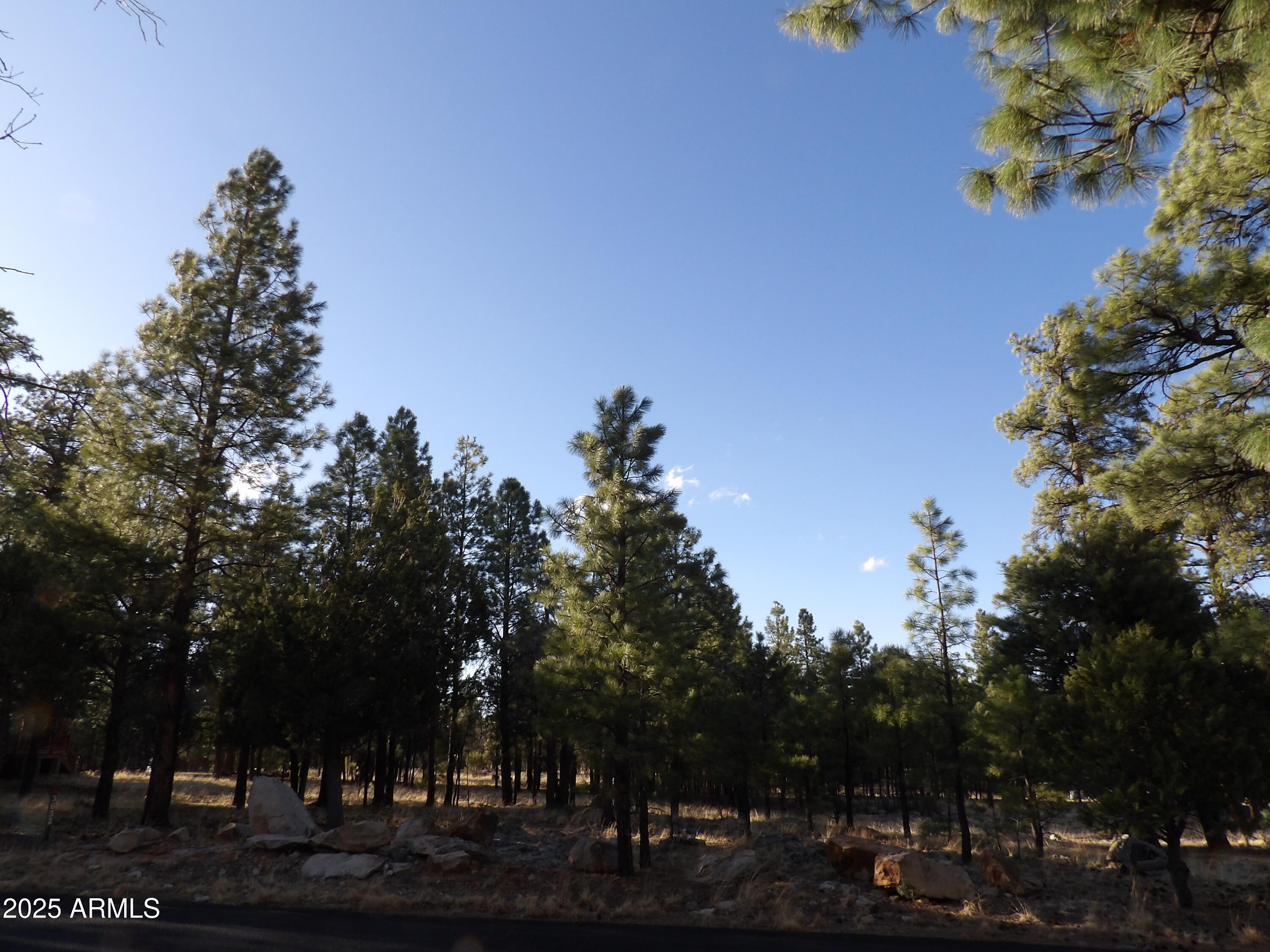 3632 Timberline Drive Property Photo