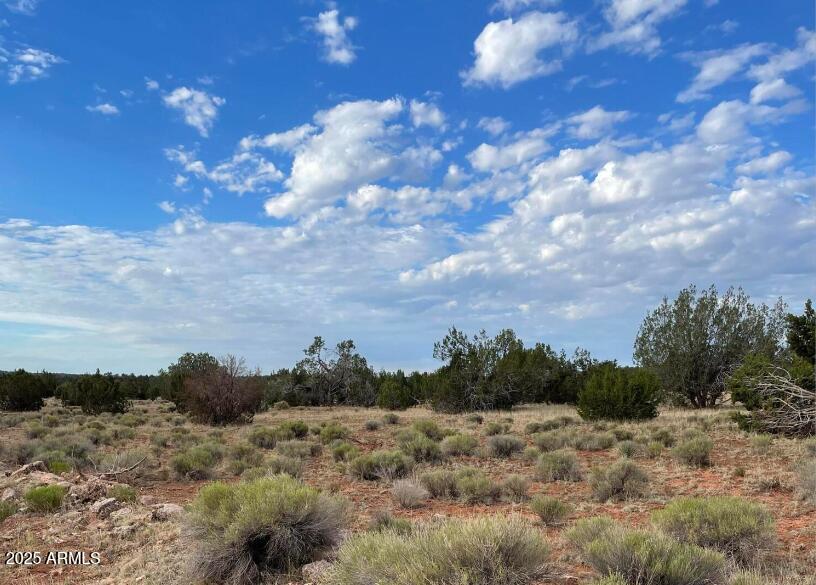 000 Via De Oro Property Photo 1