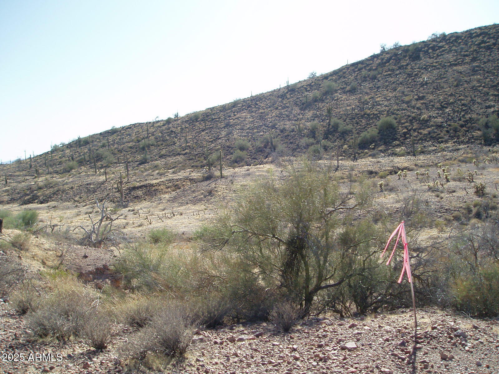 29625 W Carefree Highway Property Photo 1