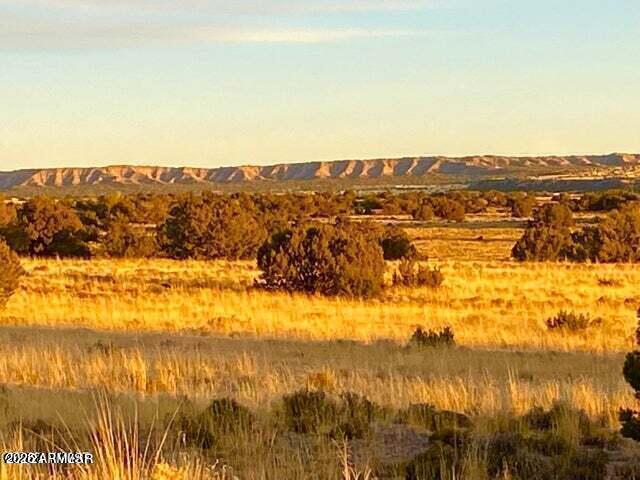 Tbd Sanders 255 Acres Property Photo 1