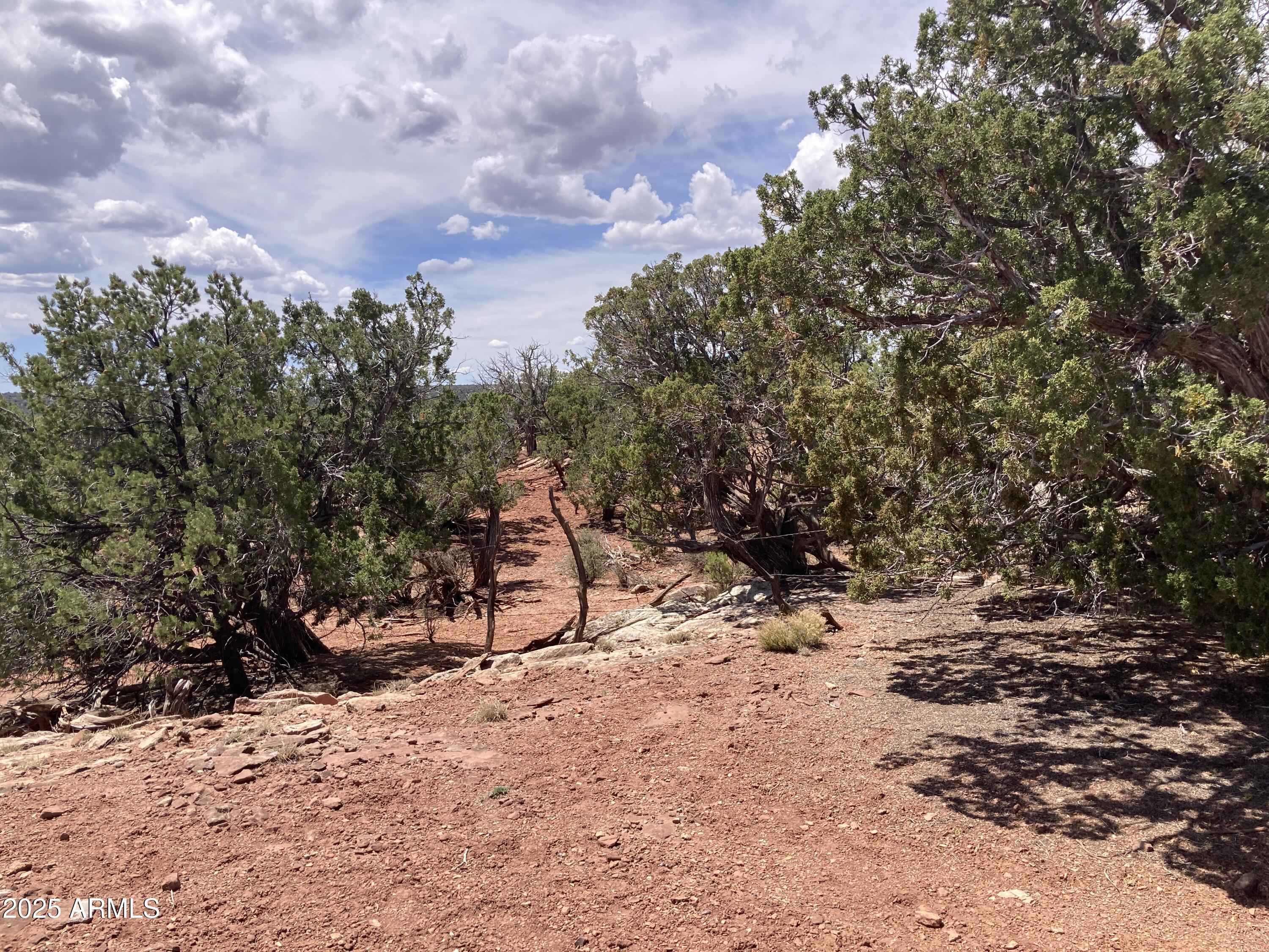 9979 TEXAS Lane