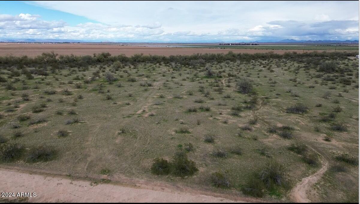 48327 W Pampas Grass Road Property Photo