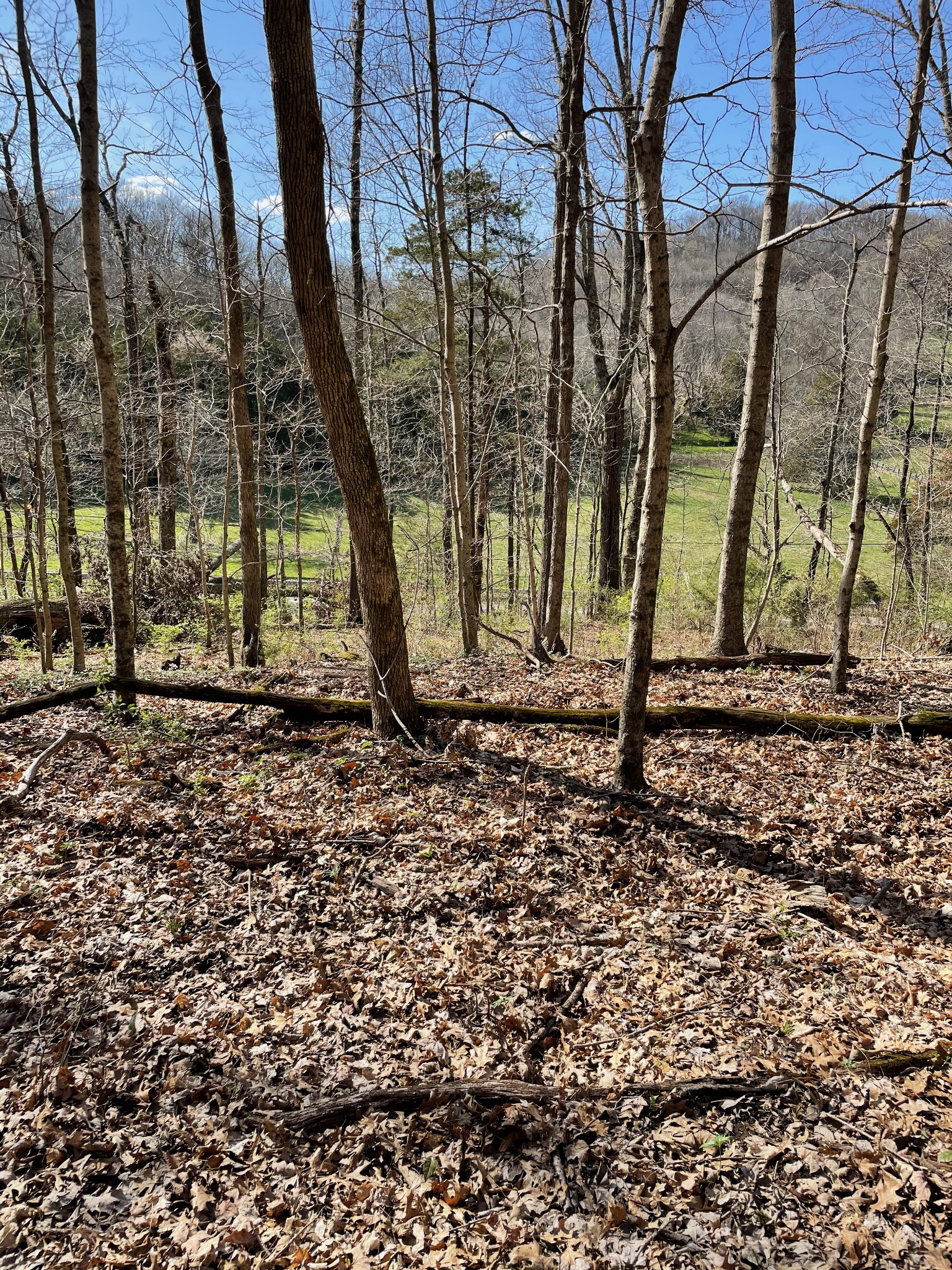 2057 Hillsboro Property Photo 2