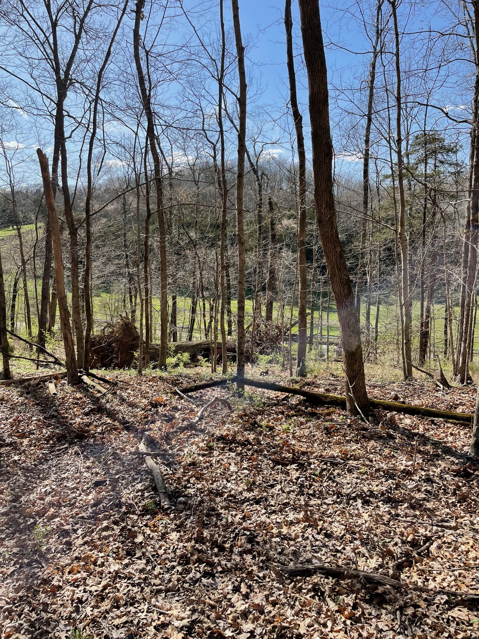 2057 Hillsboro Property Photo 5