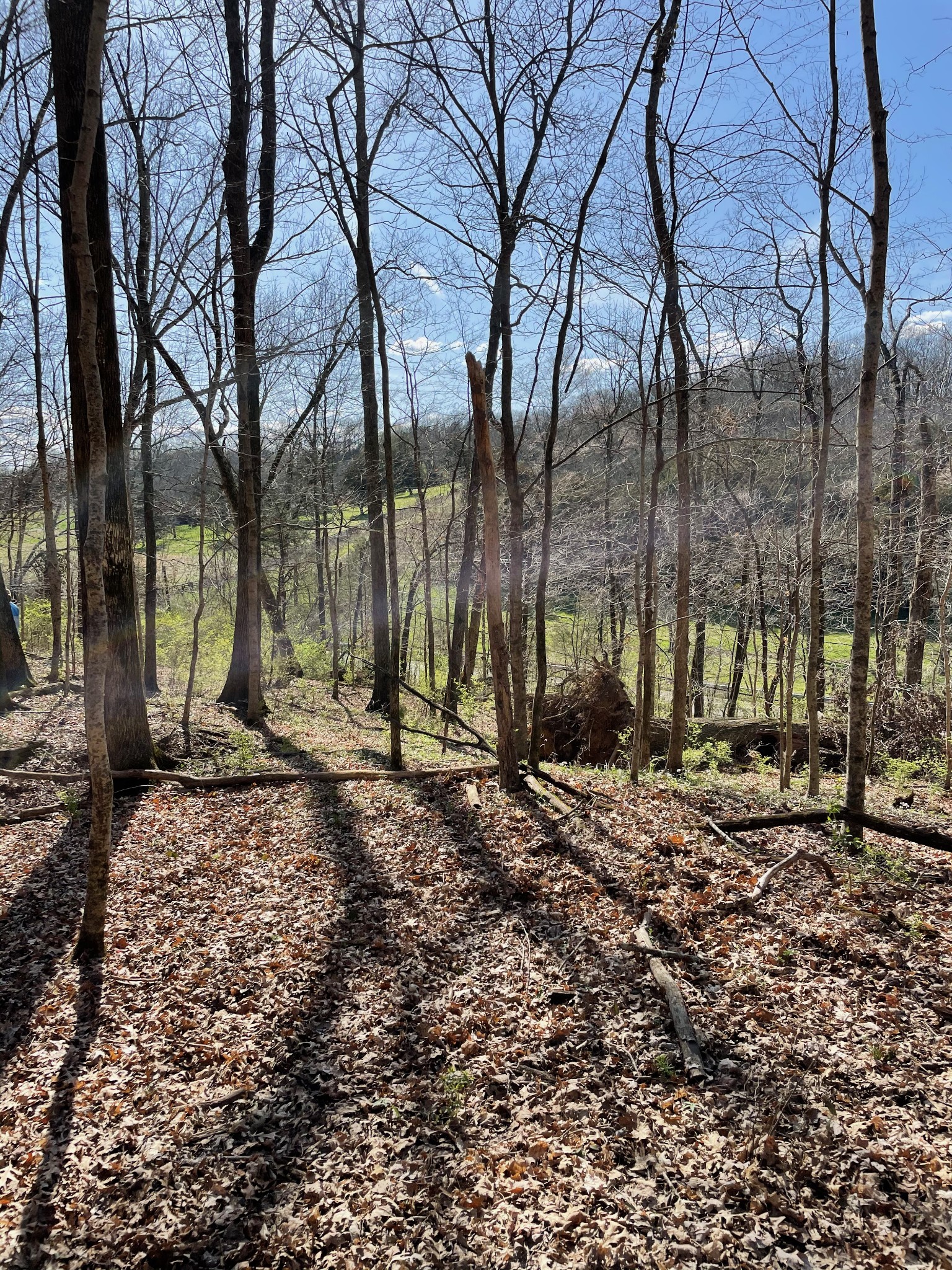 2057 Hillsboro Property Photo 6