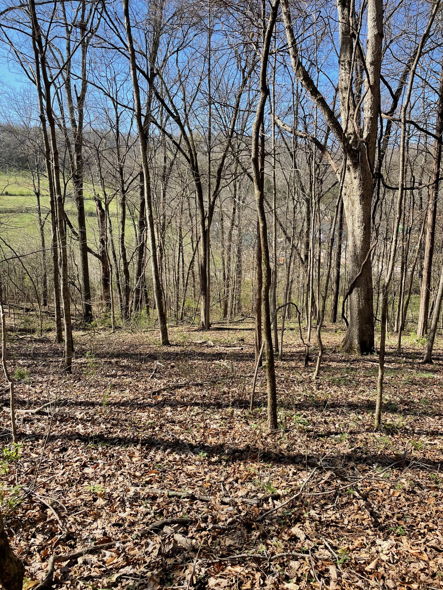 2057 Hillsboro Property Photo 14