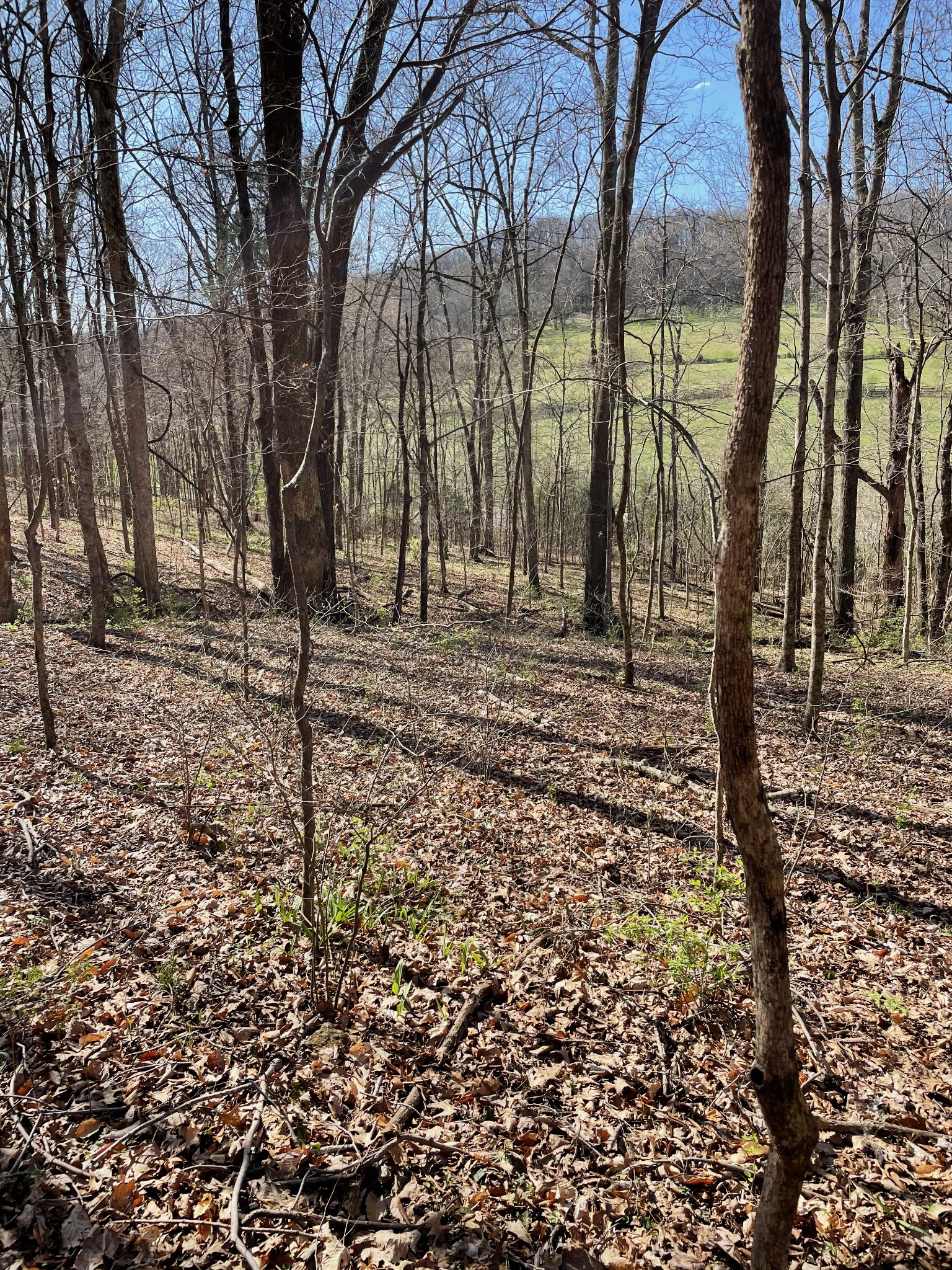2057 Hillsboro Property Photo 15