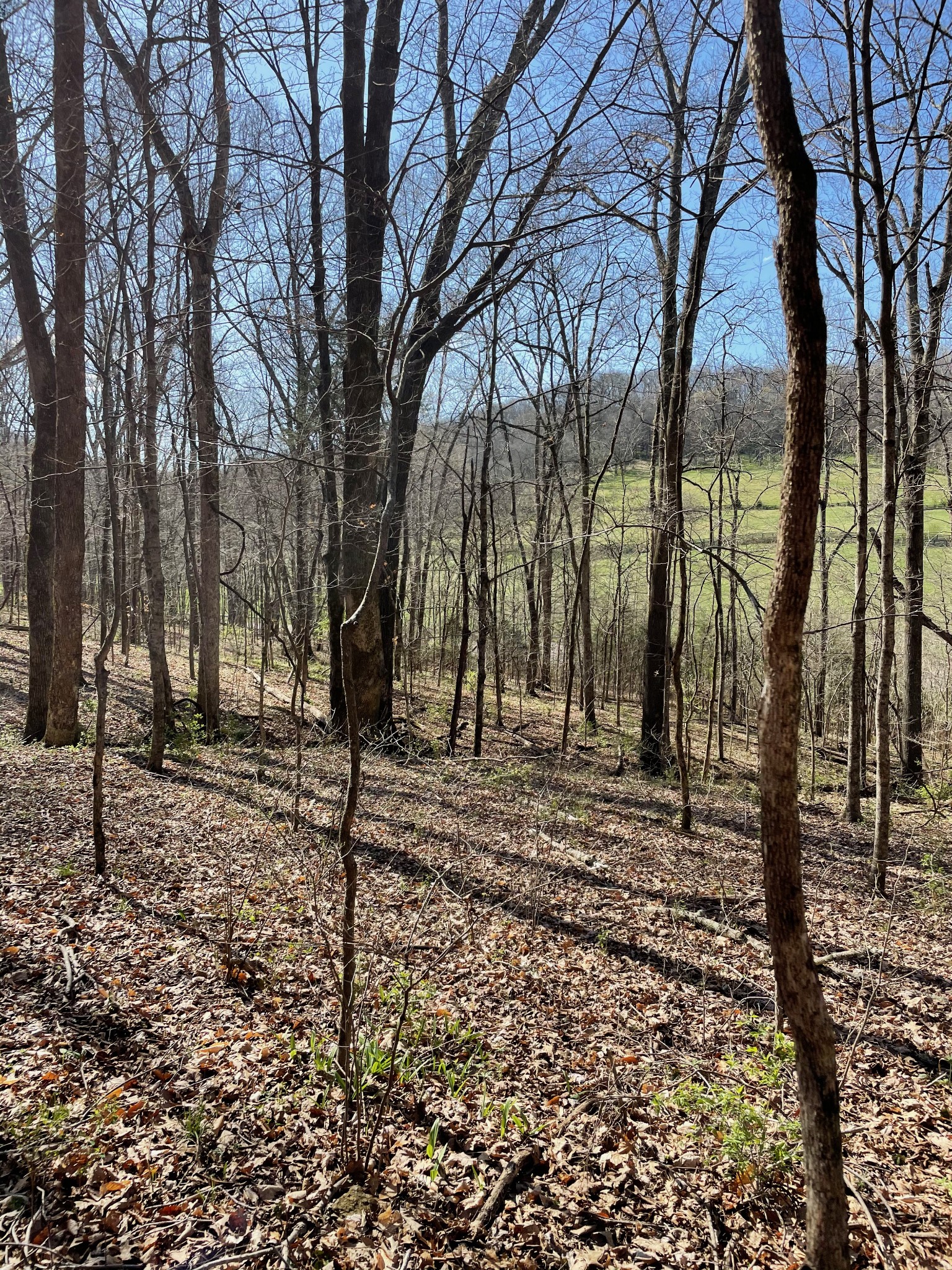 2057 Hillsboro Property Photo 22