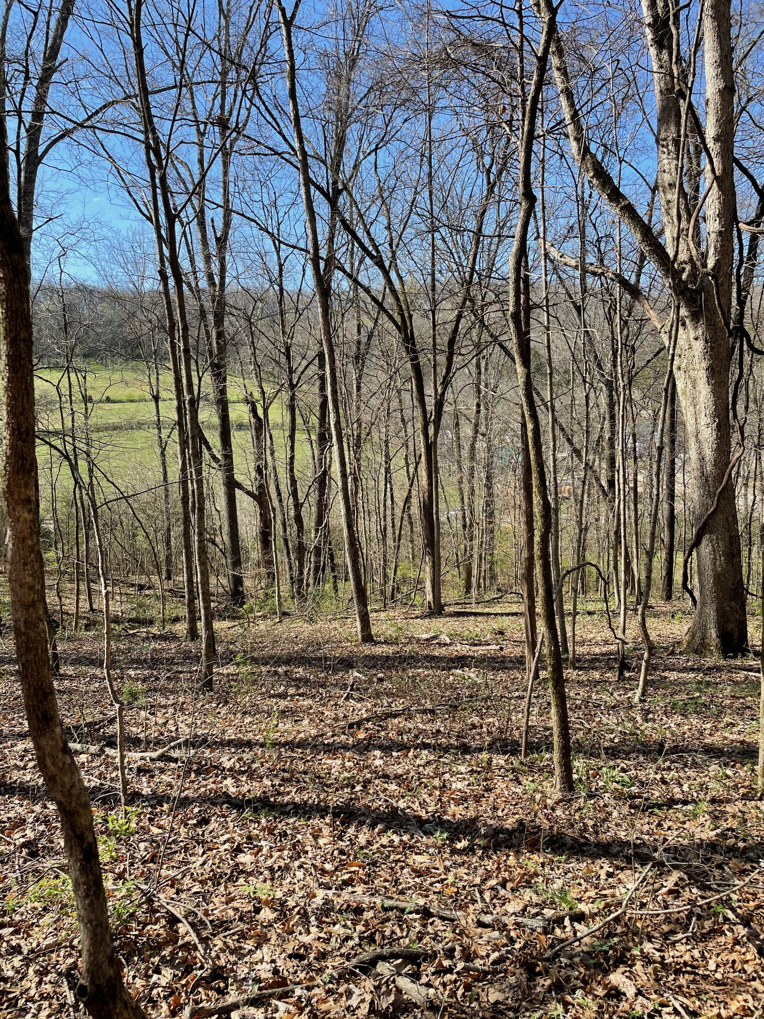 2057 Hillsboro Property Photo 23