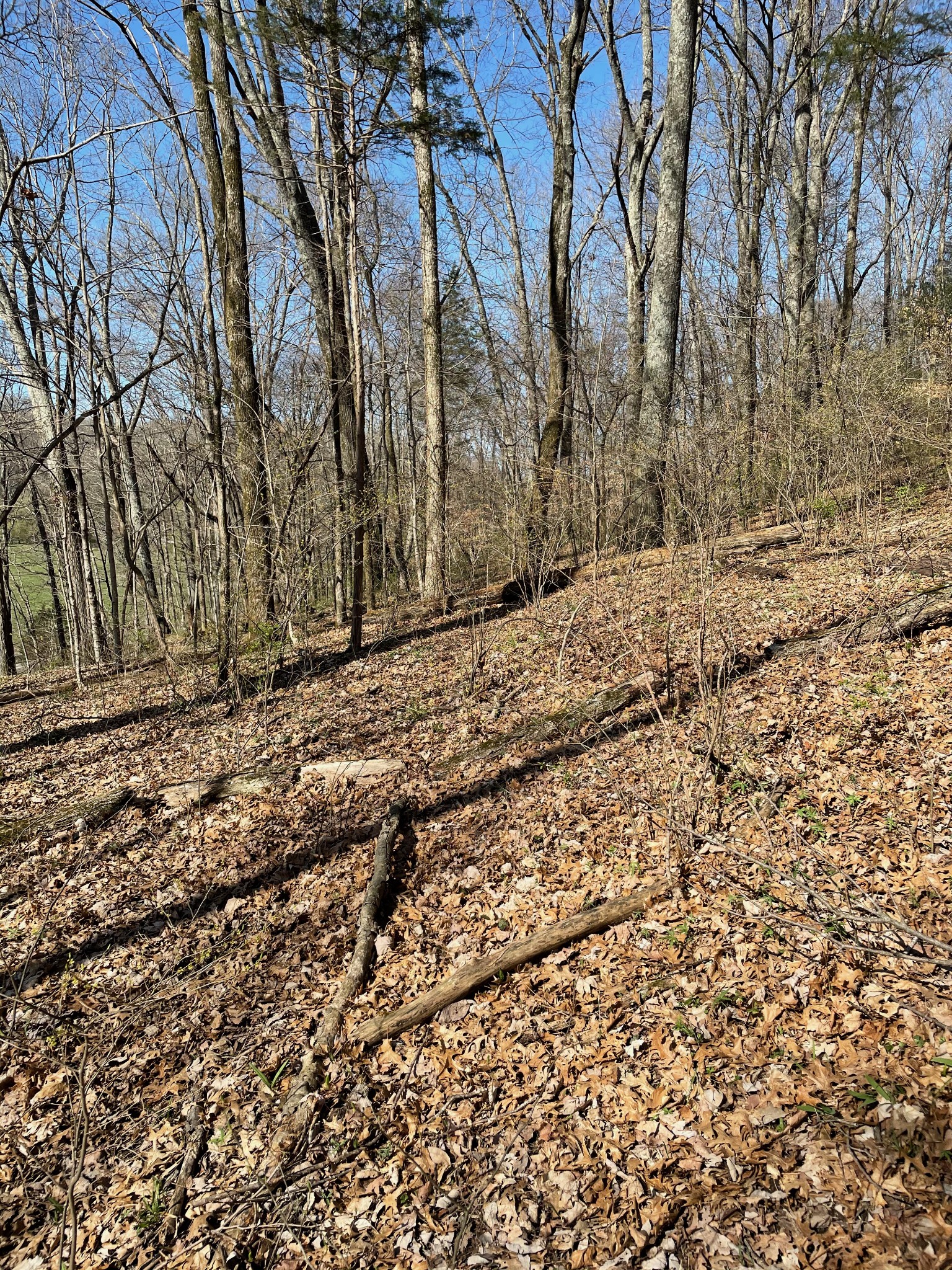 2057 Hillsboro Property Photo 24