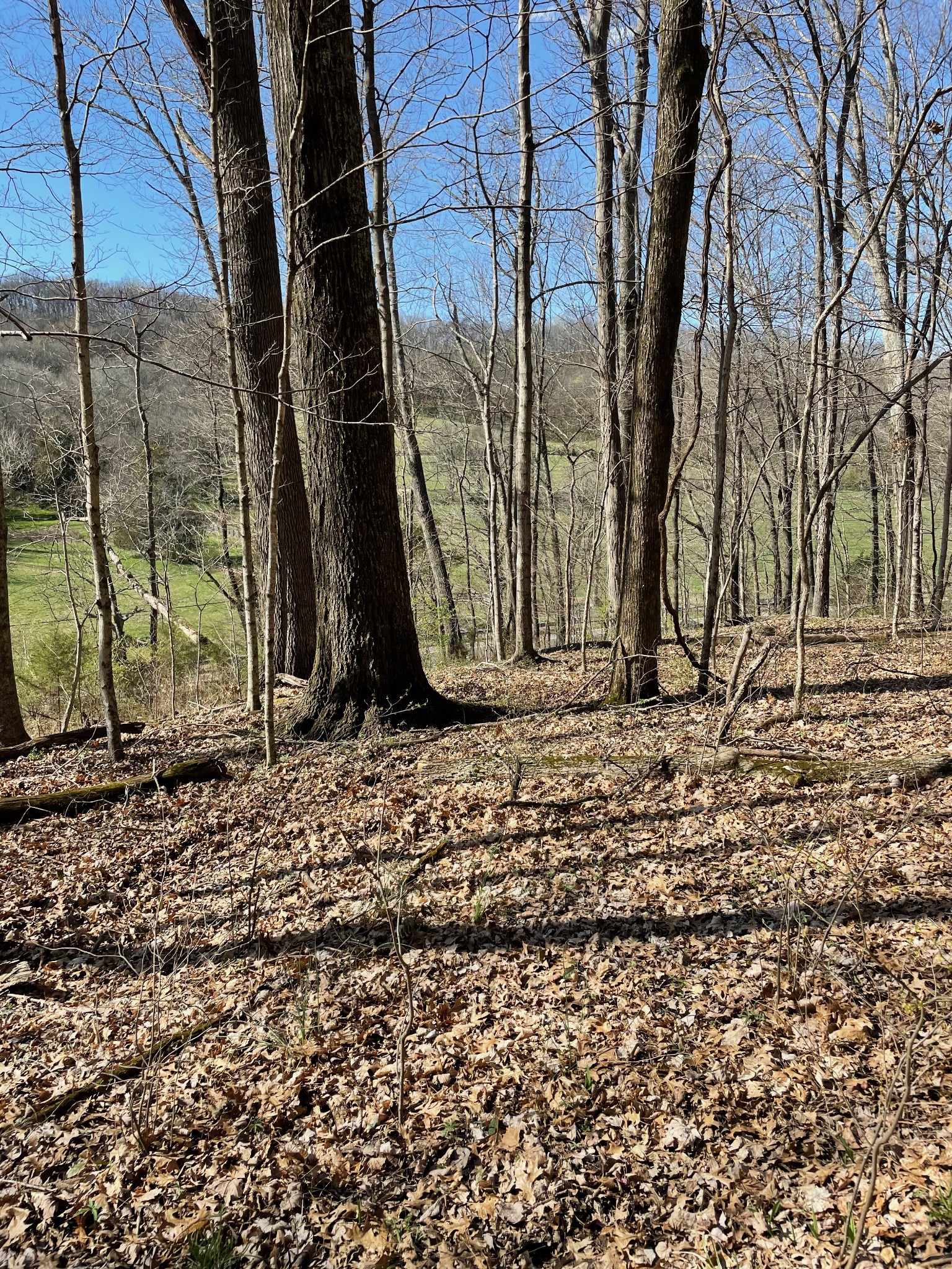 2057 Hillsboro Property Photo 27